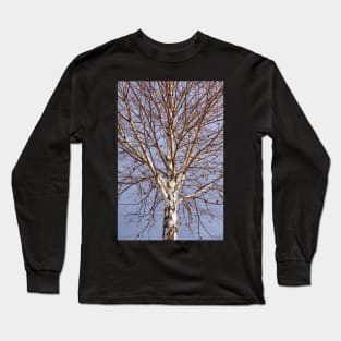 Birch tree against blue sky Long Sleeve T-Shirt